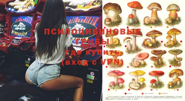 не бодяженный Алзамай