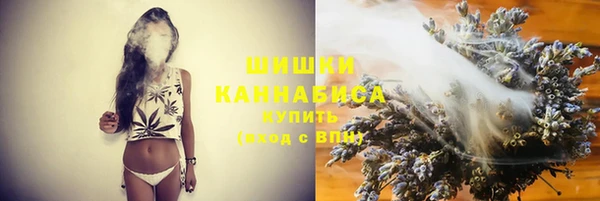 бошки Алексин