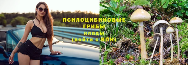 ешки Алексеевка