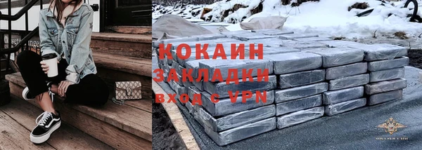 шишки Абаза