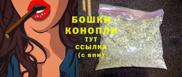 бошки Алексин