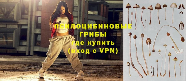 ешки Алексеевка