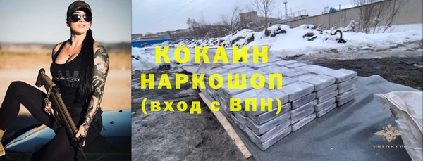 бошки Алексин