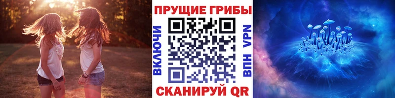 Псилоцибиновые грибы прущие грибы  что такое   Гдов 