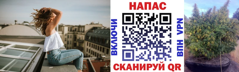 Бошки марихуана White Widow ОМГ ОМГ как зайти Гдов